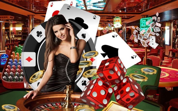 nn55 bet login