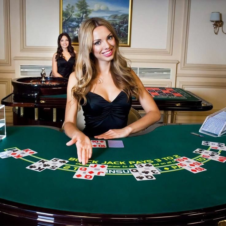 nn55 bet login
